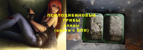 а пвп мука Богданович