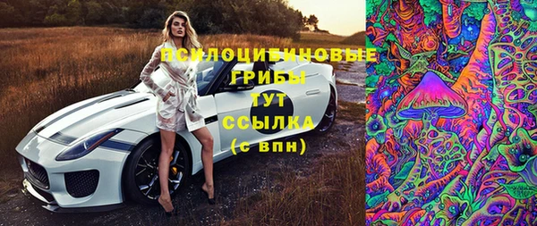 прущая мука Богородицк