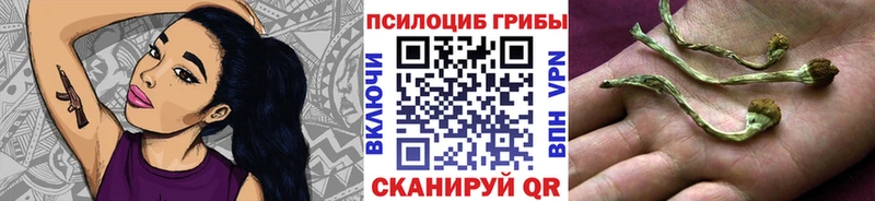 Псилоцибиновые грибы мухоморы  Дрезна 